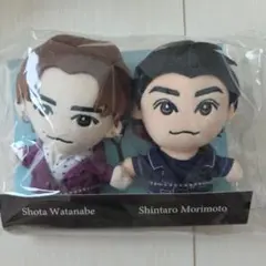 DREAM BOYS 2023 渡辺翔太 森本慎太郎 ぬい