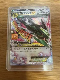 Mレックウザ25th