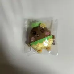 2025年最新】ソンヨンドリの人気アイテム - メルカリ