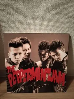 希少廃盤美品！PEPPERMINT JAM CD7枚セット 希少廃盤美品！PEPPERMINT JAM CD7枚セット 希少廃盤美品