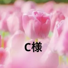 C 様 ポケットティッシュケース