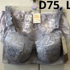 Wing/Wacoal ウイング/ワコール　レシアージュ　ブラジャー、ショーツ