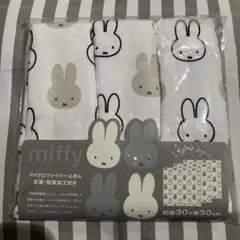 Item thumbnail for item 5277305f-e51c-49bc-9479-64a784ad3703