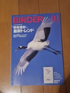 2026年最新】birder 2024の人気アイテム - メルカリ