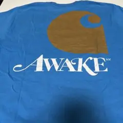 CARHARTT×AWAKE NY sizeM