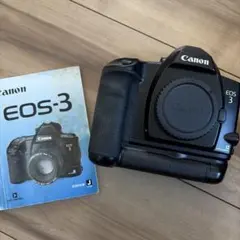 Item thumbnail for item 04c91999-12d4-414e-8133-f699134ced9c