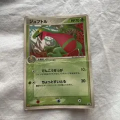 ジュプトル ポケモンカード