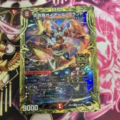 我我我ガイアールブランド　b