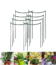 Item thumbnail for item c0704b5a-1e0f-4cc0-b03f-a2b22c3a8d99