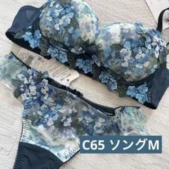 【C65 M】ワコール　ルジェ　リボンブラソングセット　ネイビー　紺青