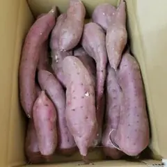 kana様専用 サツマイモ
