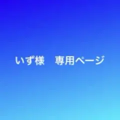 いず様　専用ページです