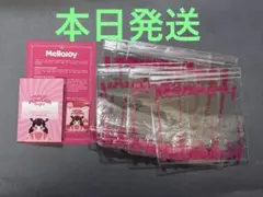 付属品全部有】Mellojoy メロジョイ ターキーパーティー 感謝祭 限定