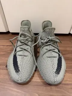 adidas YEEZY Boost 350V2 