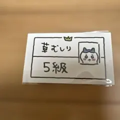 ハチワレ草むしり検定5級カードのサムネイル