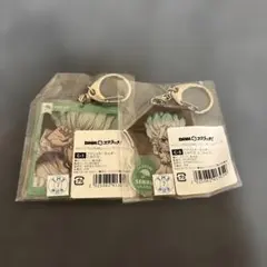 Dr.STONE 石神千空 缶バッジ アクリルキーホルダー くじ