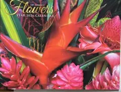 Item thumbnail for item 1199822a-e50d-4157-b3a2-b5d170be65be