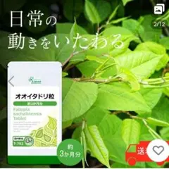 階段の昇り降りに オオイタドリ粒 サプリメント 健康 元気サポート 食品