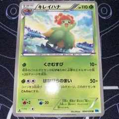 2026年最新】Pokemon Card Game シリーズ：BW ポケモンカードゲームの