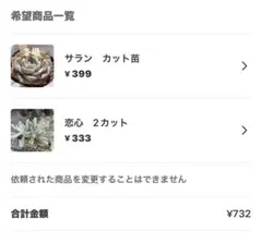 桜峰様 リクエスト 2点 まとめ商品−50