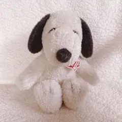 Hello my SNOOPY！ セキグチ ぬいぐるみ Mサイズ