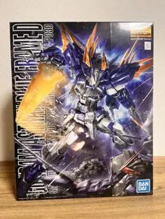 MG MBF-P03D ガンダムアストレイ ブルーフレームD 1/100 未組立