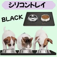 Item thumbnail for item 9d9464ee-0c40-4e9d-b8a0-9f04b5efcf59