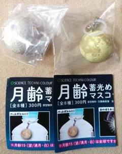 匿名配送 月齢 蓄光めじるしマスコット 2種類セット 全球 満月