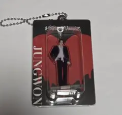 ENHYPEN ジョンウォン House of vampire 嫉妬 キーリング