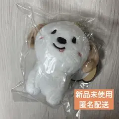 RIIZE アントン モンリョンイ グッズ ぬいぐるみ