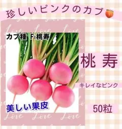 ミルン様 リクエスト 2点 まとめ商品