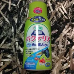 GEX サイクル 濃縮バクテリア 150ml 水質管理のサムネイル