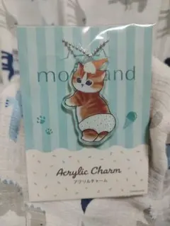 mofusand アクリルチャーム アイスクリーム 猫