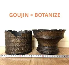 貴重 GOUJIN × BOTANIZE コラボ鉢二点セット 検)カタチ製作所 貴重GOUJIN × BOTANIZE コラボ鉢二点セット検)カタチ製作所 - メルカリ