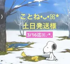 ことね•ᴗ•ꕤ*土日発送様 専用ページ