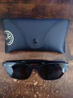 Ray-Ban RB4392D