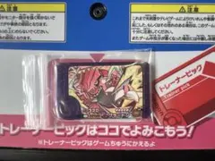 ポケモンフレンダ　ベストタッグ２弾　⭐︎おまけ付き