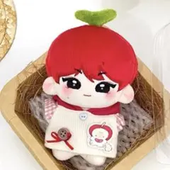 10cm ENHYPEN ジョンウォン JUNGWON ぬいぐるみ㉜ - メルカリ