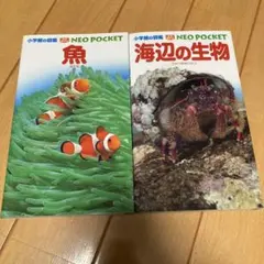 Item thumbnail for item 72e1dea5-5319-466a-be3f-8efe2edee6b6