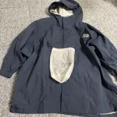 Item thumbnail for item e475c0db-06a9-4b2a-93b0-37e272909ff2