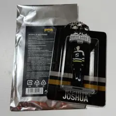 SEVENTEEN 25 HOME アクリルキーリング ジョシュア