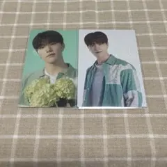 SEVENTEEN HANABI トレカ ディノ