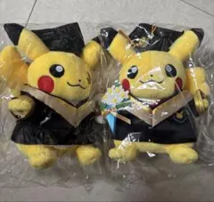 アメリカ ポケモンセンター イッシュ地方 ピカチュウ 主人公 ペア