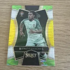 希少サッカーカード イニエスタ スペイン代表 バルセロナPANINISELECT