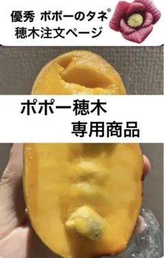 ※専用商品