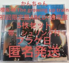 櫻坂46 14th The growing up train 初回ABCD通常⑧