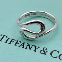 2026年最新】TIFFANY 号数：6号 レディース リング・指輪の人気