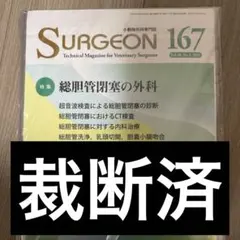 裁断済み‼️スキャナーが必要です‼️SURGEON 167 総胆管閉塞
