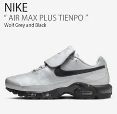 ナイキ エアマックス ティエンポ airmax tiempo ティエンポ