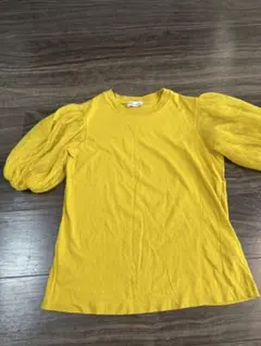RED VALENTINO チュールレースパフスリーブ Tシャツ　XSのサムネイル